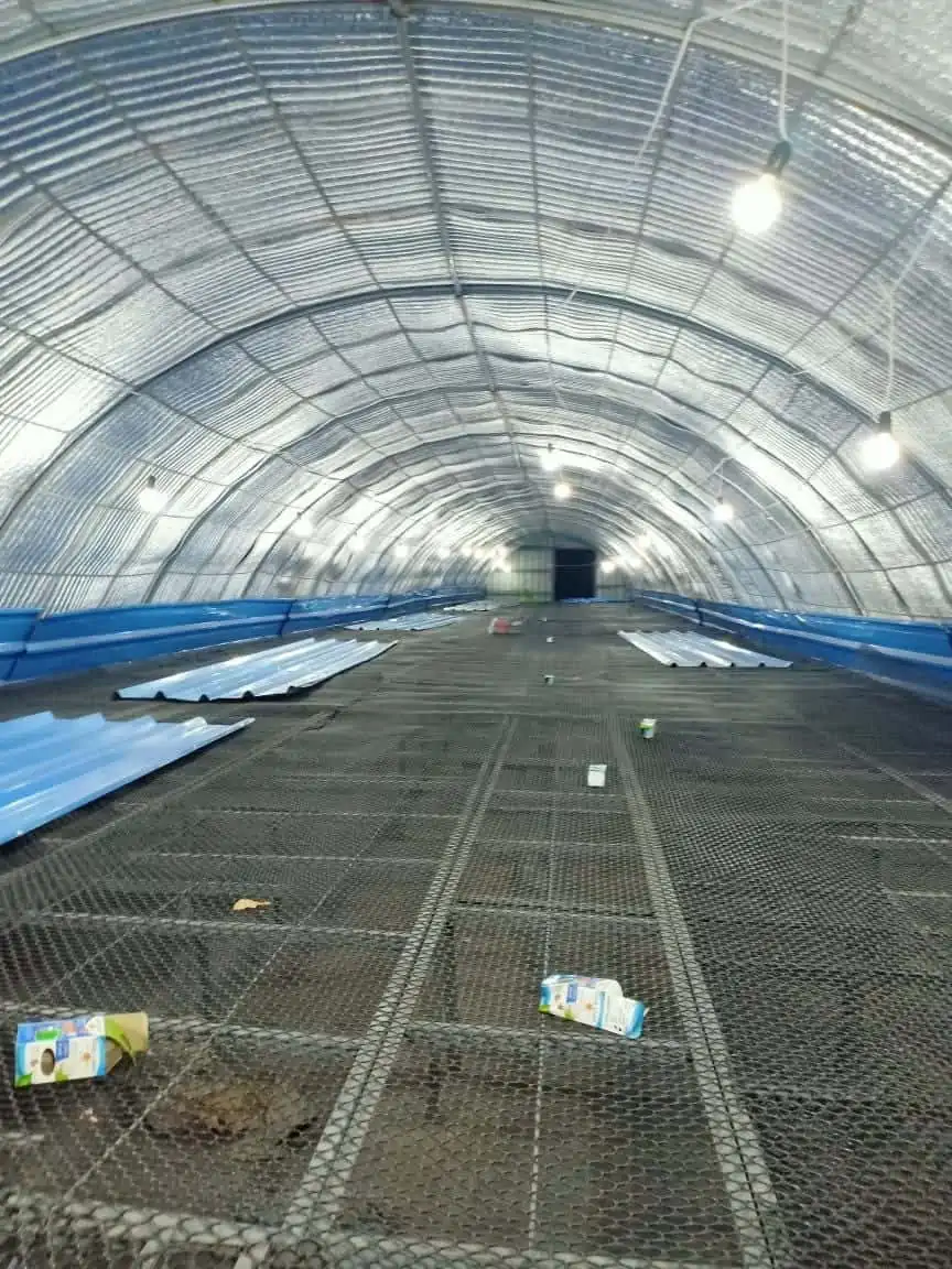 عازل حراري لعنابر الدواجن