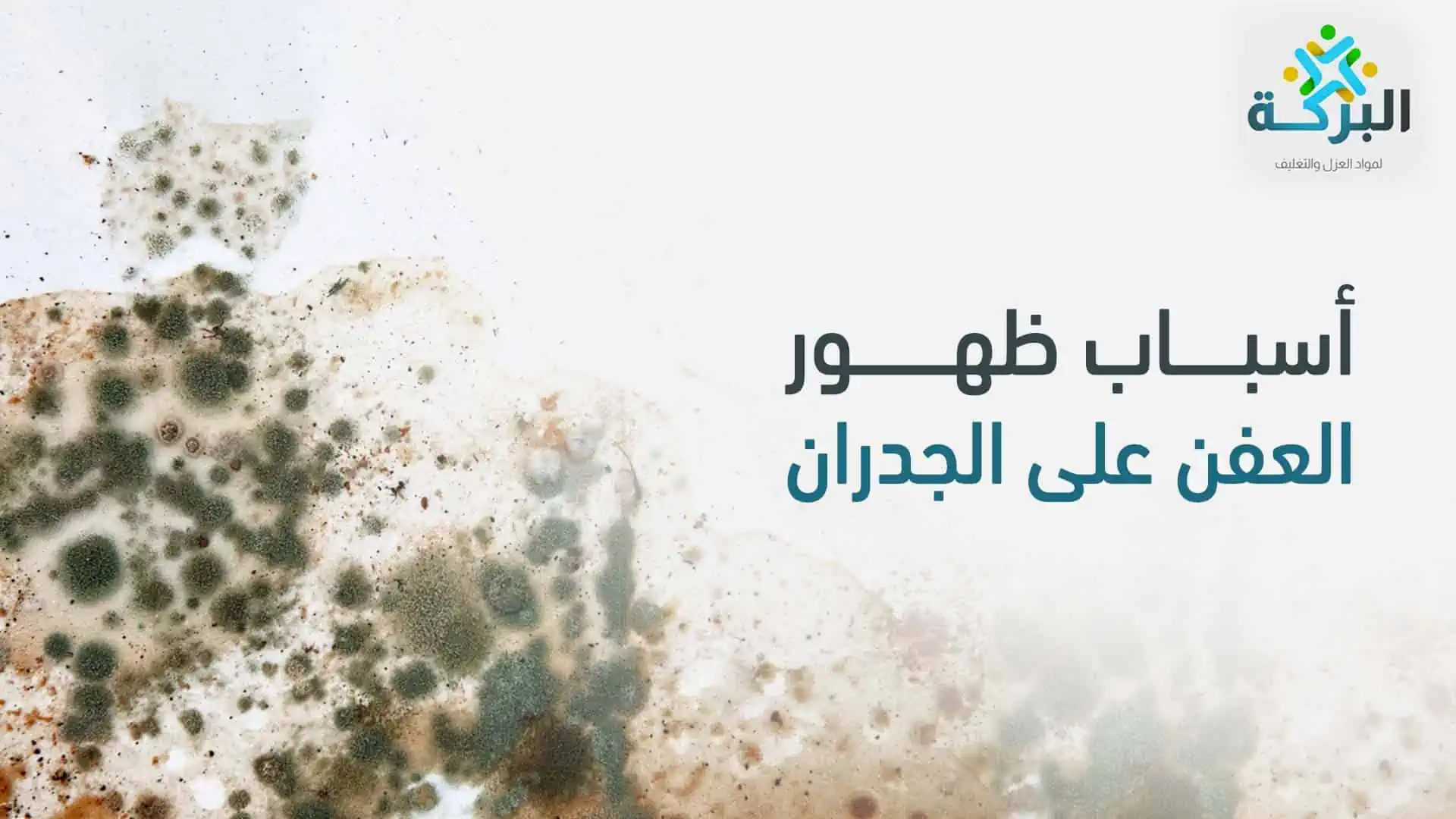 أسباب ظهور العفن على الجدران